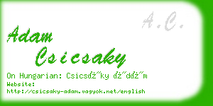 adam csicsaky business card